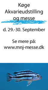 Køge akvariemesse