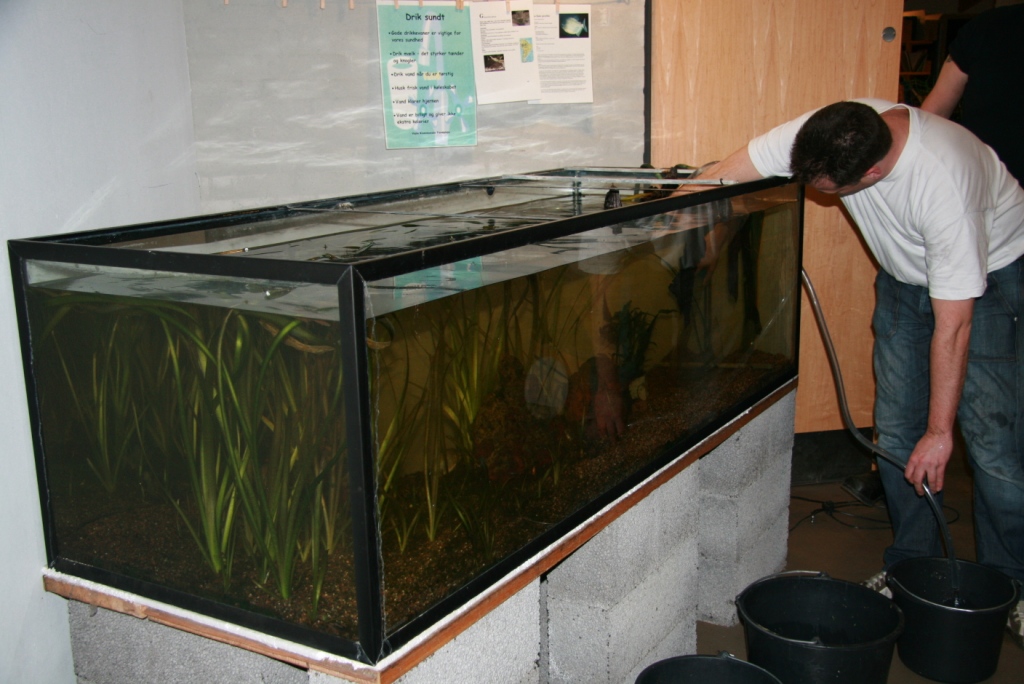 vejle akvarieforening